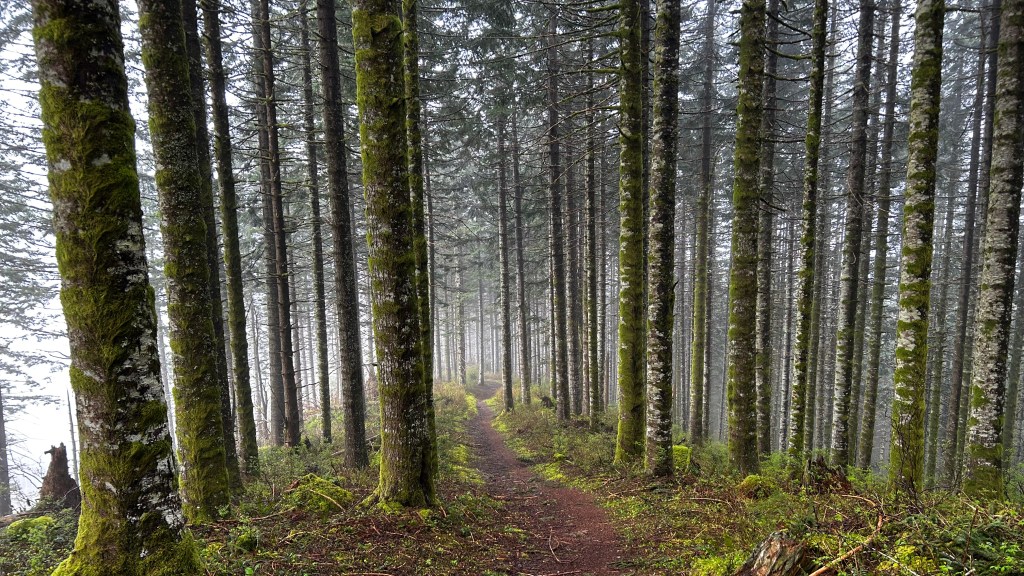 Crestline, Greenline
