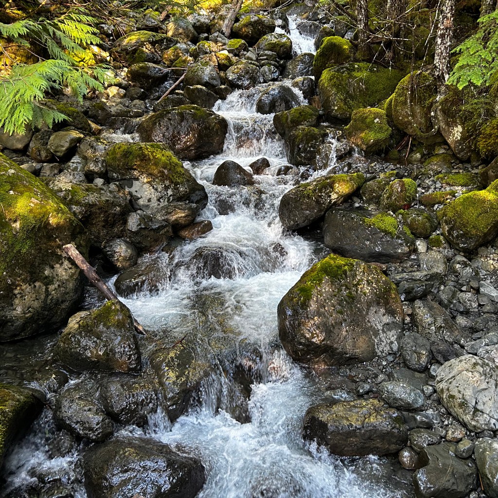 Upper Big Creek