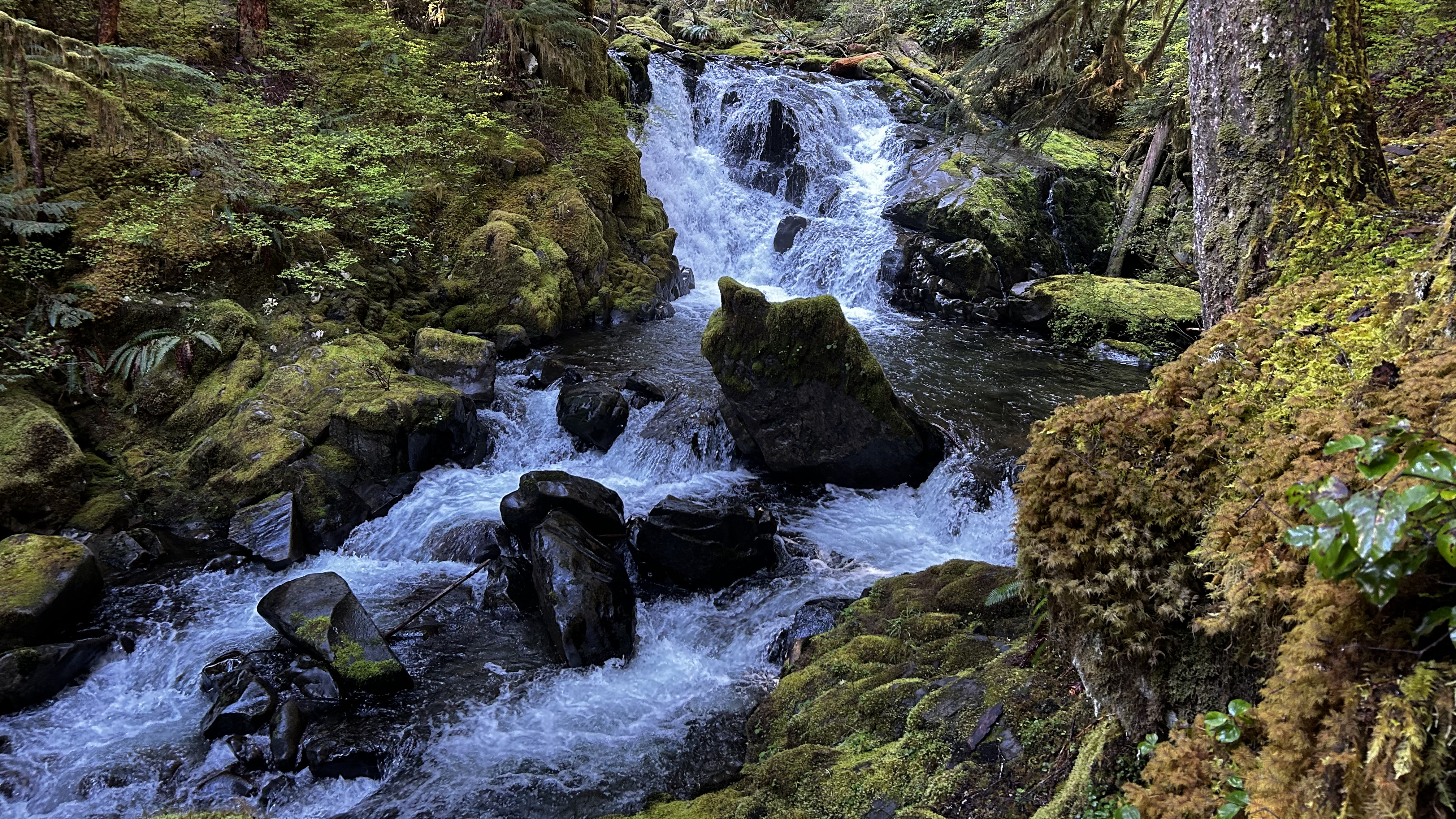 Sol Duc Falls, Lovers Lane