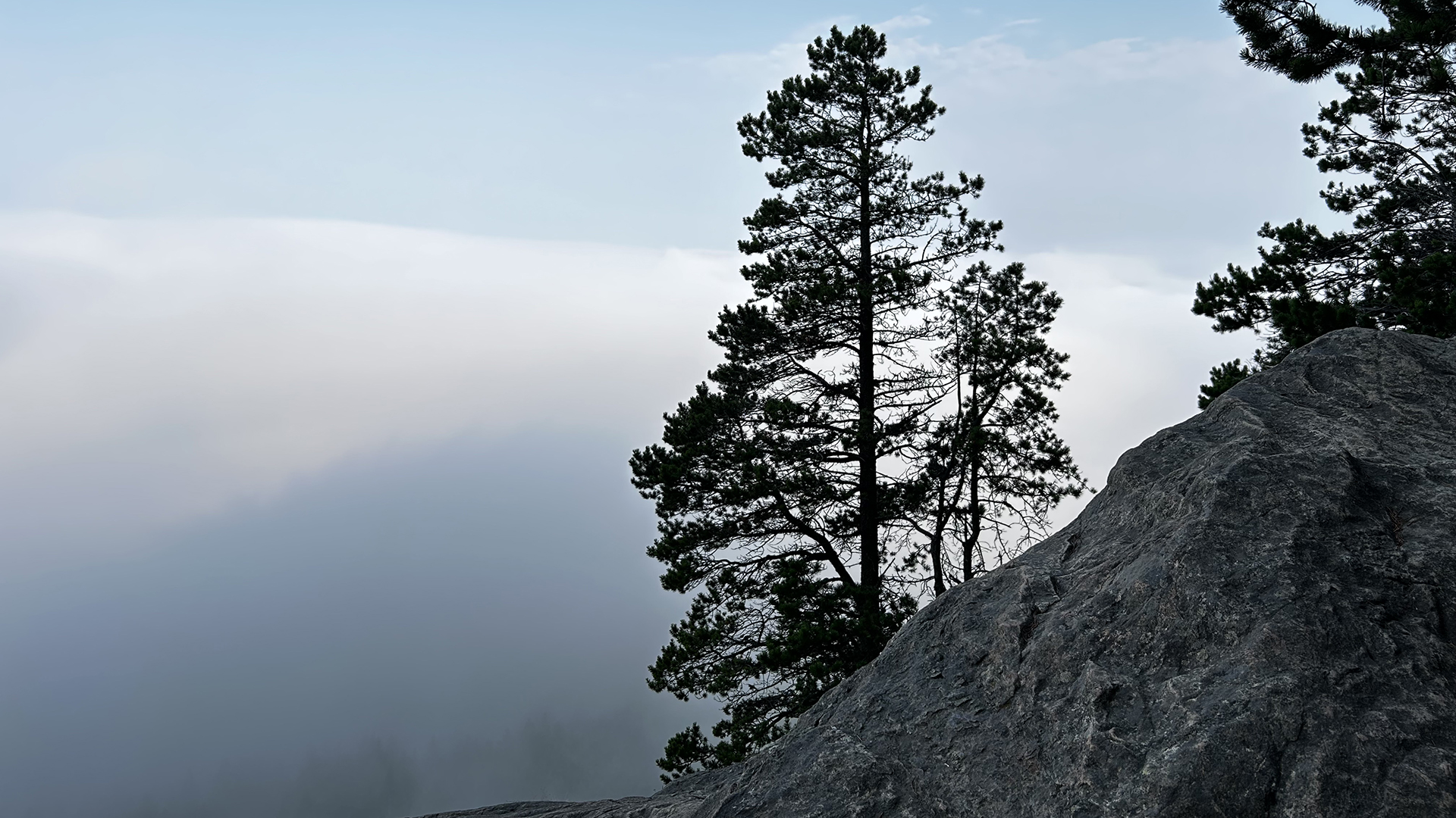 Oyster Dome Trail
