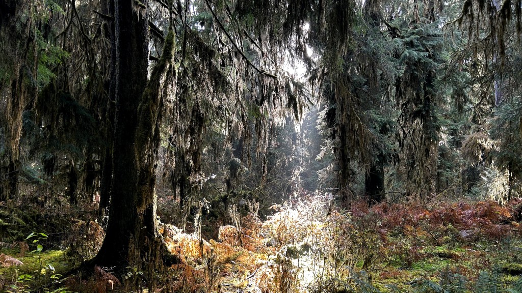 “One Square Inch of Silence”