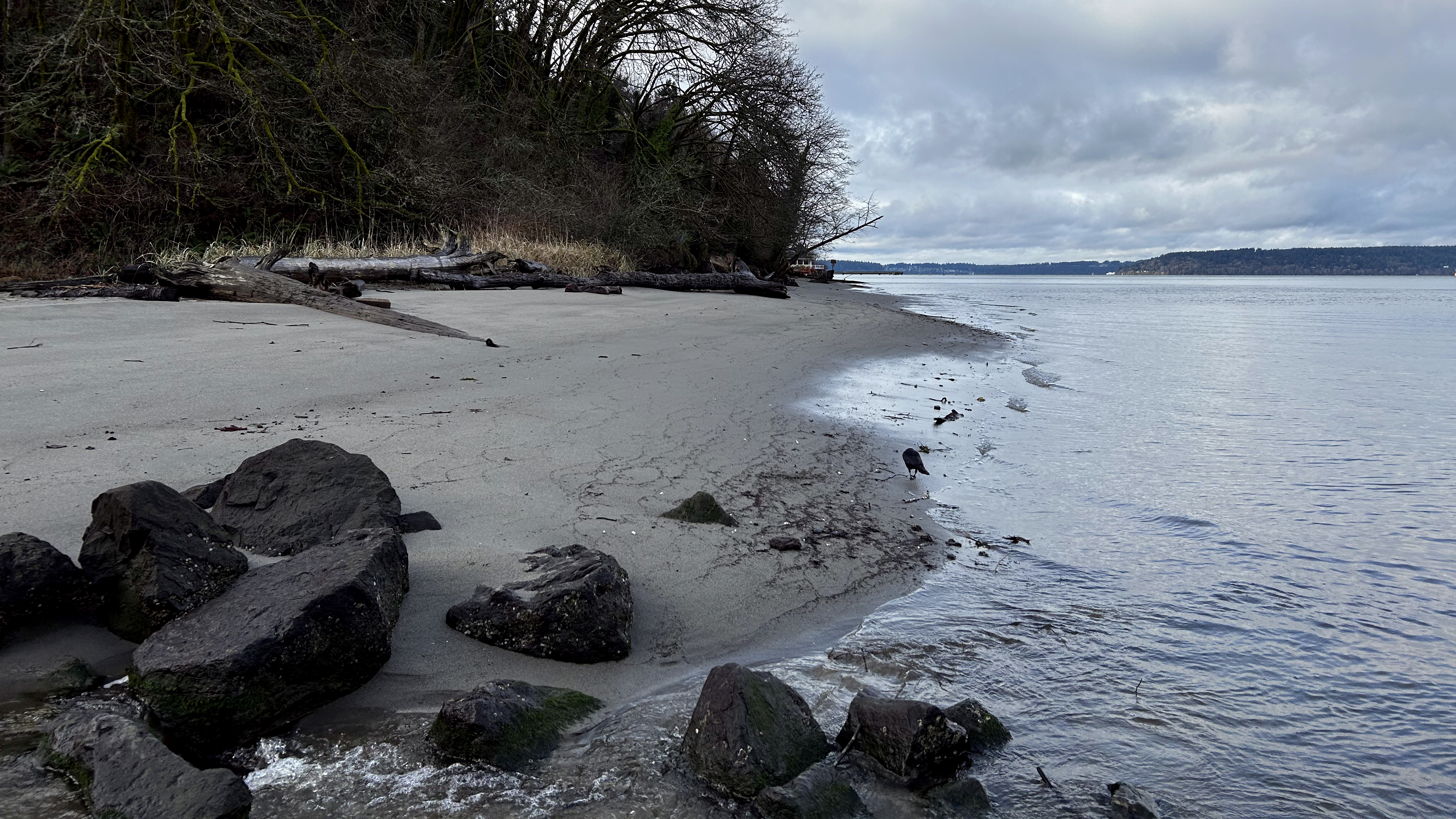 Dash Point Trail