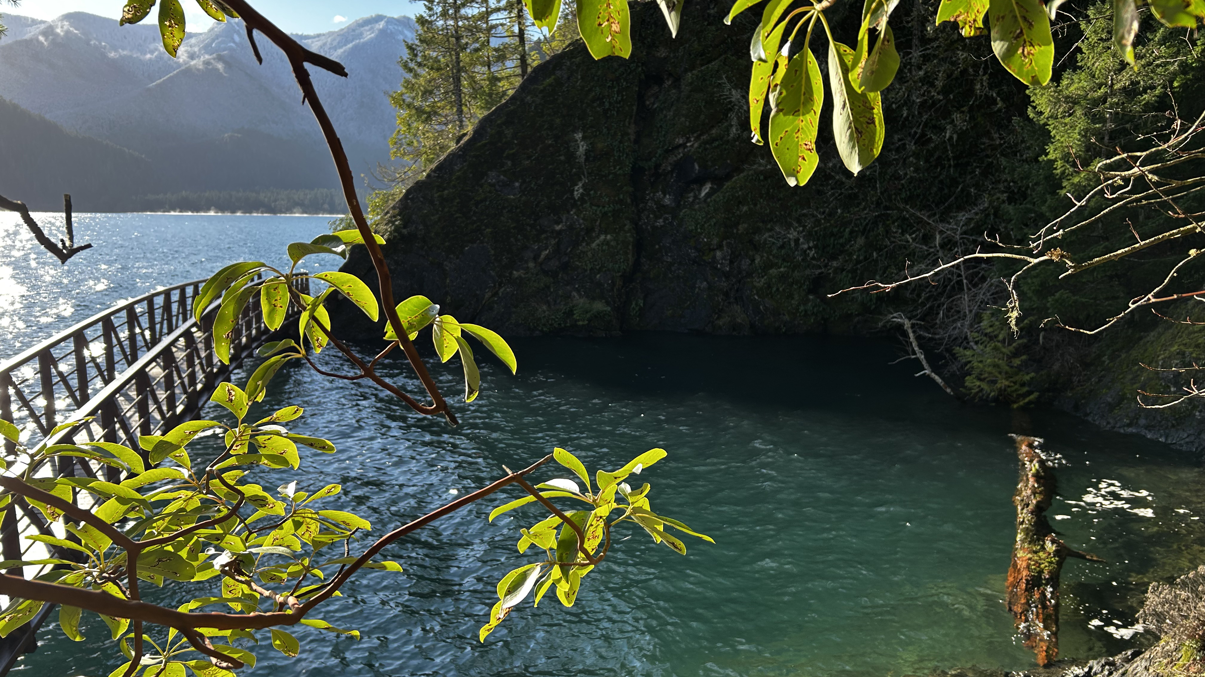 Spruce Railroad Trail: Lake Crescent
