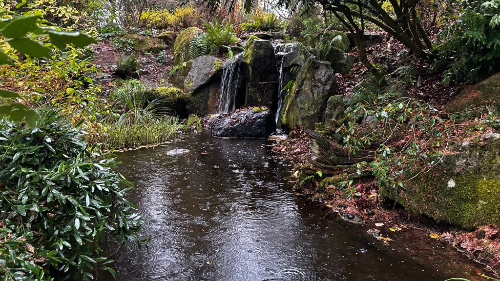 Bellevue Botanical Garden+