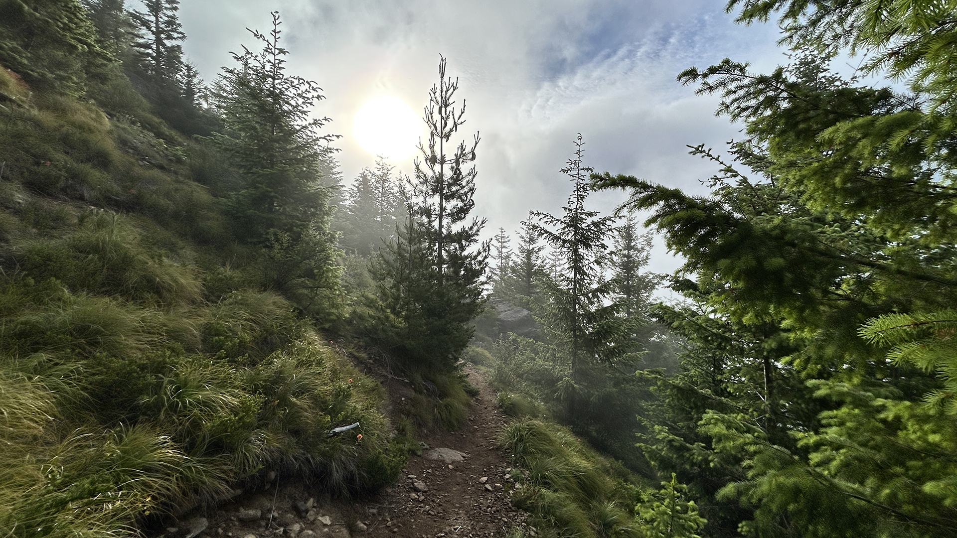 Kelly Butte Trail